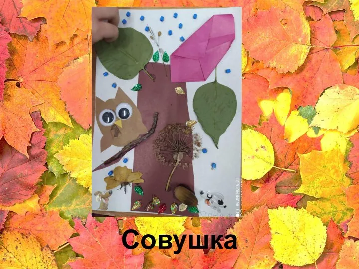 Совушка