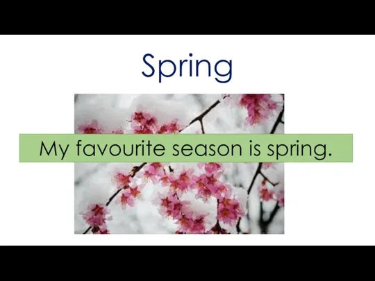 Spring My favourite season is spring.