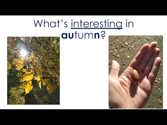 What’s interesting in autumn?