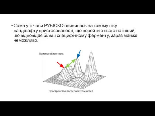 Саме у ті часи РУБІСКО опинилась на такому піку ландшафту пристосованості,