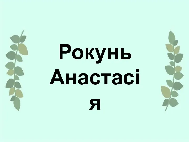 Рокунь Анастасія