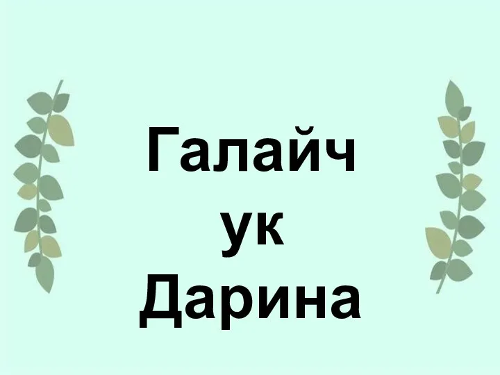 Галайчук Дарина