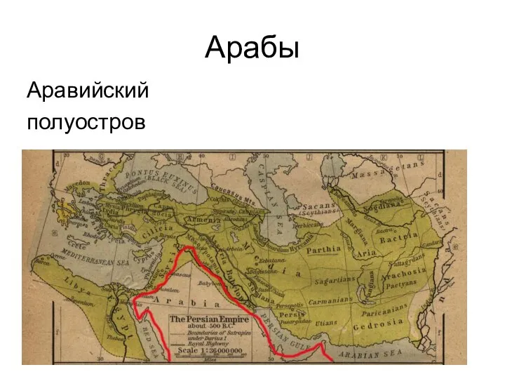 Арабы Аравийский полуостров