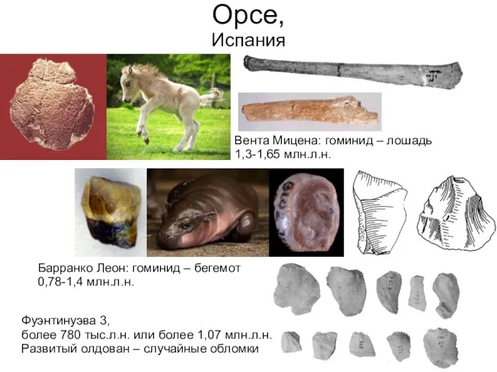 Орсе, Испания Вента Мицена: гоминид – лошадь 1,3-1,65 млн.л.н. Барранко Леон: