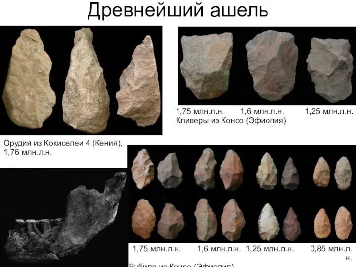 Древнейший ашель 1,75 млн.л.н. 1,6 млн.л.н. 1,25 млн.л.н. Кливеры из Консо