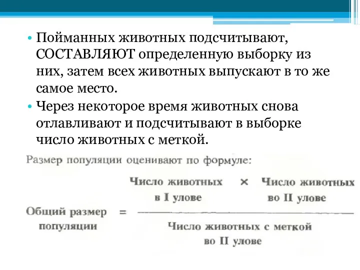 Пойманных животных подсчитывают, СОСТАВЛЯЮТ определенную выборку из них, затем всех животных