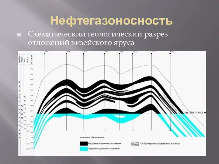 Нефтегазоносность Схематический геологический разрез отложений визейского яруса