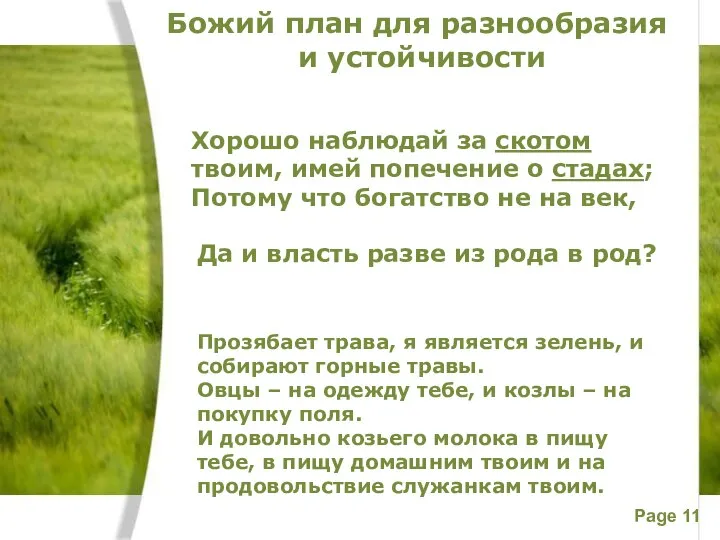Божий план для разнообразия и устойчивости Прозябает трава, я является зелень,