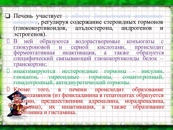 Печень участвует в обмене биологически активных веществ, регулируя содержание стероидных гормонов