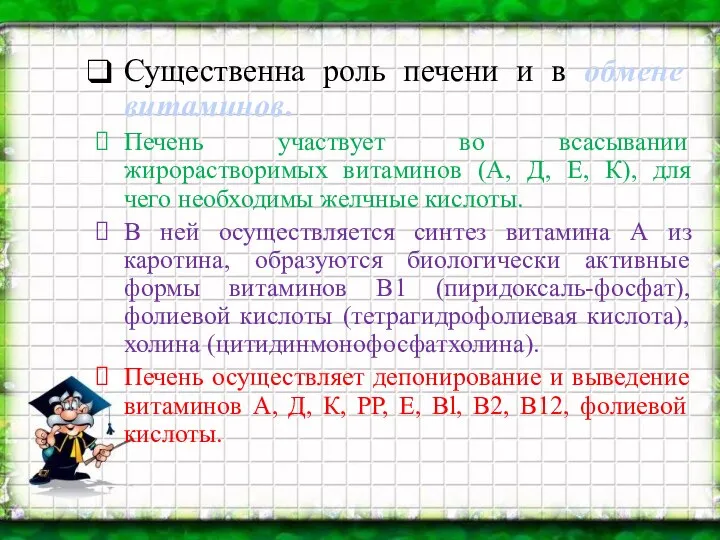 Существенна роль печени и в обмене витаминов. Печень участвует во всасывании