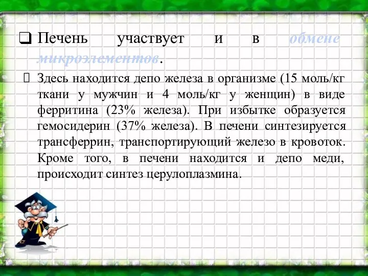 Печень участвует и в обмене микроэлементов. Здесь находится депо железа в