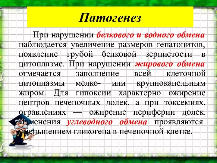 Патогенез При нарушении белкового и водного обмена наблюдается увеличение размеров гепатоцитов,