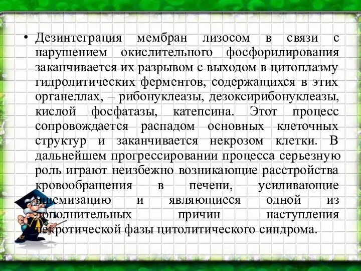 Дезинтеграция мембран лизосом в связи с нарушением окислительного фосфорилирования заканчивается их