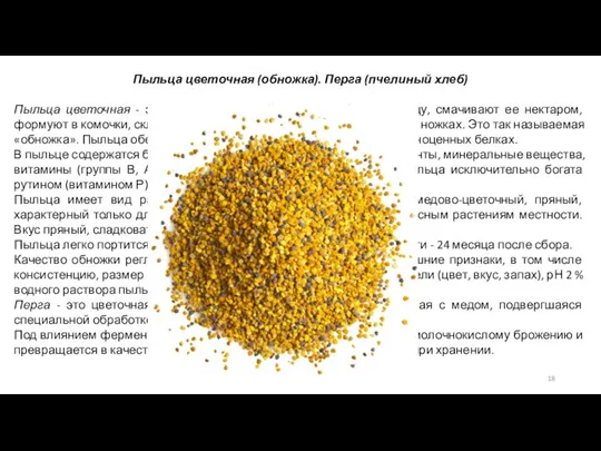 Пыльца цветочная (обножка). Перга (пчелиный хлеб) Пыльца цветочная - это продукт