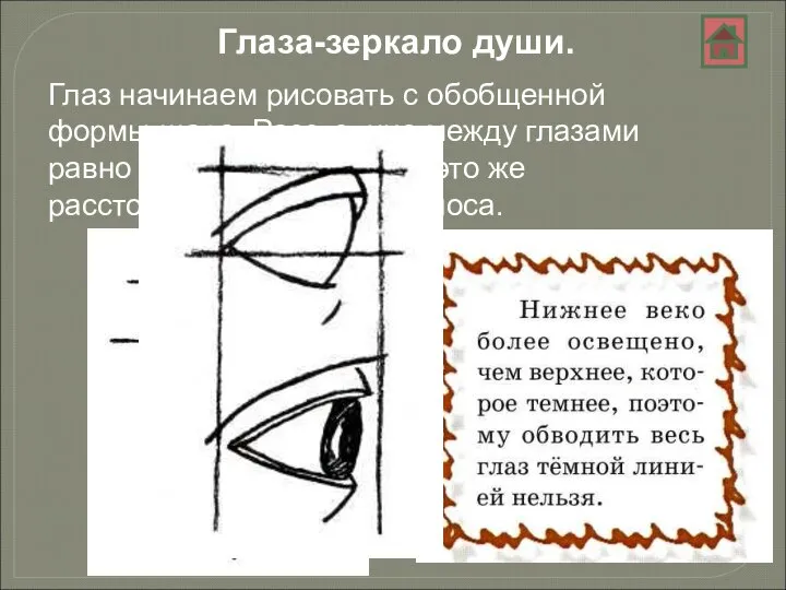 Глаз начинаем рисовать с обобщенной формы-шара. Расстояние между глазами равно длине