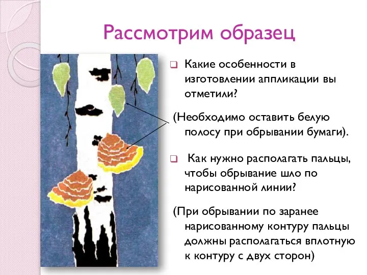 Рассмотрим образец Какие особенности в изготовлении аппликации вы отметили? (Необходимо оставить