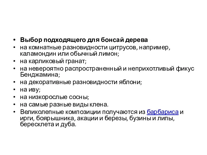 Выбор подходящего для бонсай дерева на комнатные разновидности цитрусов, например, каламондин