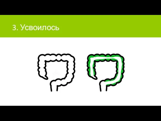 3. Усвоилось