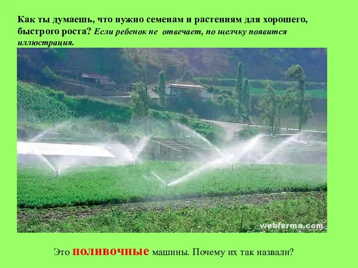 Как ты думаешь, что нужно семенам и растениям для хорошего, быстрого