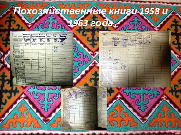 Похозяйственные книги 1958 и 1963 года