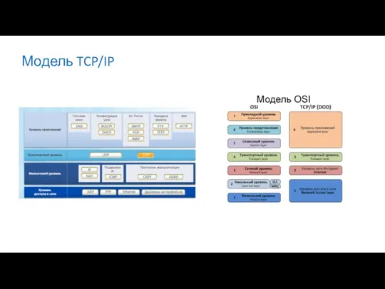 Модель TCP/IP