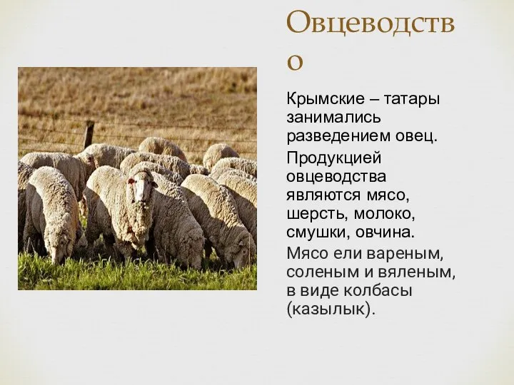 Овцеводство Крымские – татары занимались разведением овец. Продукцией овцеводства являются мясо,