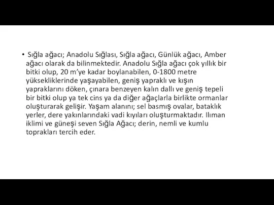 Sığla ağacı; Anadolu Sığlası, Sığla ağacı, Günlük ağacı, Amber ağacı olarak