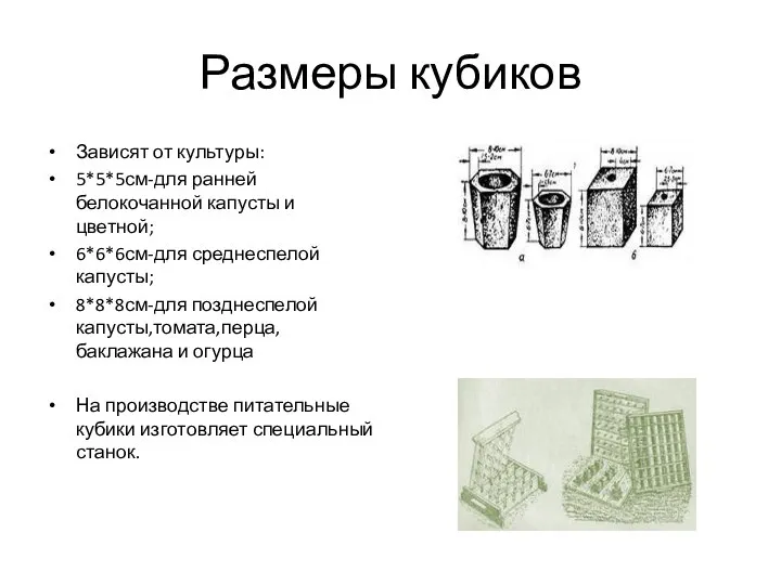 Размеры кубиков Зависят от культуры: 5*5*5см-для ранней белокочанной капусты и цветной;