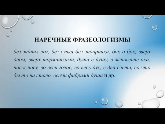 НАРЕЧНЫЕ ФРАЗЕОЛОГИЗМЫ без задних ног, без сучка без задоринки, бок о