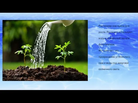 Растениям она нужна для роста. Растения используют воду и углекислый газ