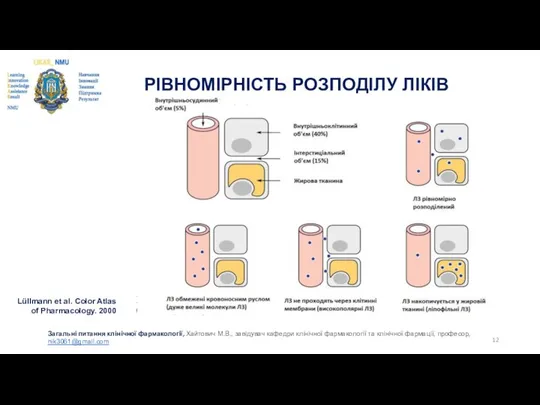 РІВНОМІРНІСТЬ РОЗПОДІЛУ ЛІКІВ Загальні питання клінічної фармакології, Хайтович М.В., завідувач кафедри