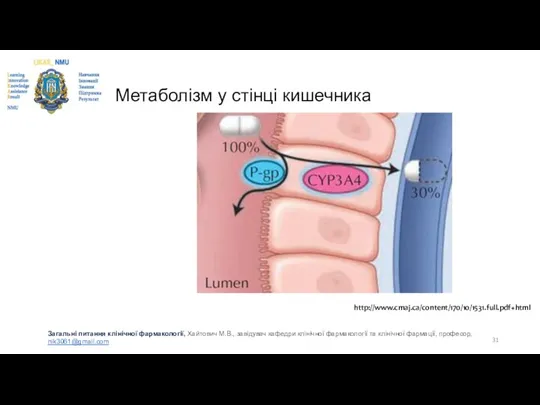 Метаболізм у стінці кишечника http://www.cmaj.ca/content/170/10/1531.full.pdf+html Загальні питання клінічної фармакології, Хайтович М.В.,