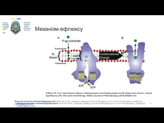 Механізм ефлюксу Загальні питання клінічної фармакології, Хайтович М.В., завідувач кафедри клінічної
