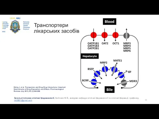 Транспортери лікарських засобів König J. et al. Transporters and Drug-Drug Interactions: