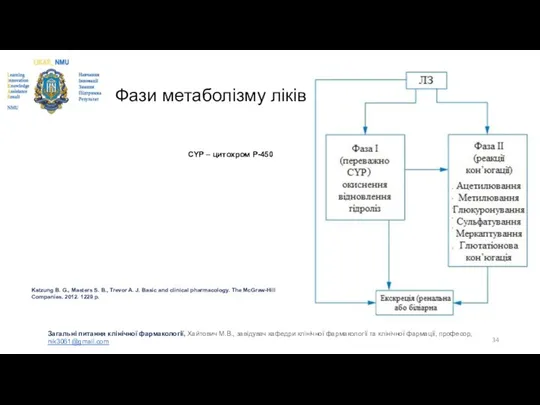 Фази метаболізму ліків Katzung B. G., Masters S. B., Trevor A.