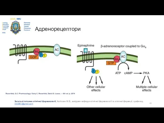 Адренорецептори Rosenfeld, G.C. Pharmacology / Gary C. Rosenfeld, David S. Loose.