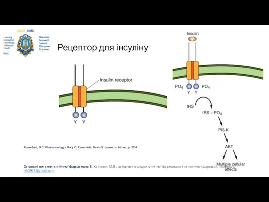 Рецептор для інсуліну Rosenfeld, G.C. Pharmacology / Gary C. Rosenfeld, David