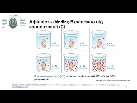 Афінність (binding-В) залежно від концентрації (С) Lüllmann et al. Color Atlas