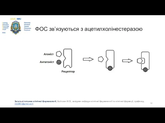 ФОС зв’язуються з ацетилхолінестеразою Загальні питання клінічної фармакології, Хайтович М.В., завідувач