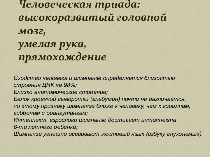 Человеческая триада: высокоразвитый головной мозг, умелая рука, прямохождение Сходство человека и