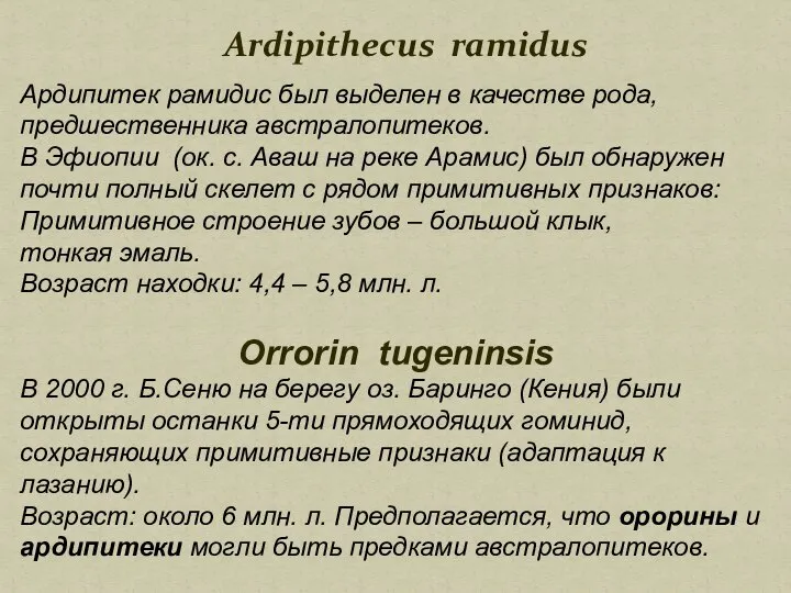 Ardipithecus ramidus Ардипитек рамидис был выделен в качестве рода, предшественника австралопитеков.