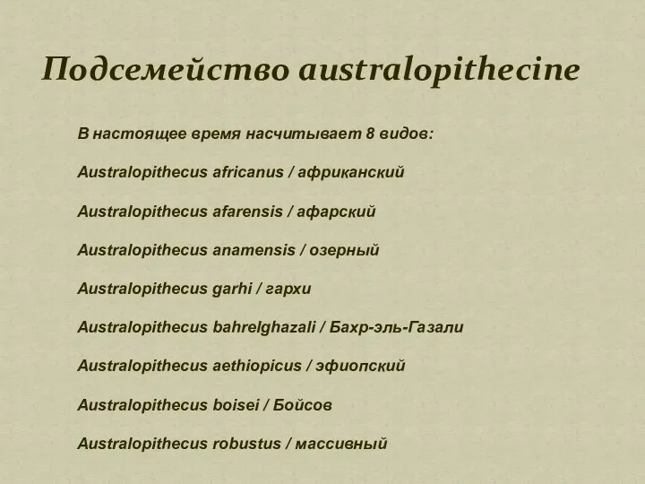 Подсемейство аustralopithecine В настоящее время насчитывает 8 видов: Australopithecus africanus /