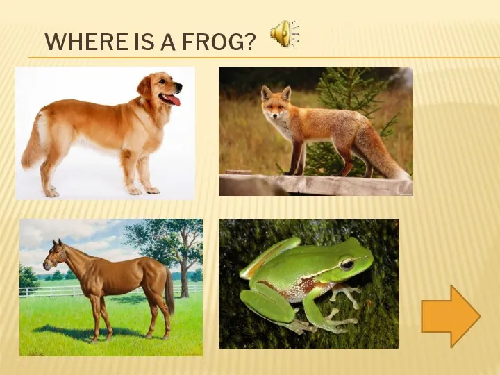 WHERE IS A FROG?