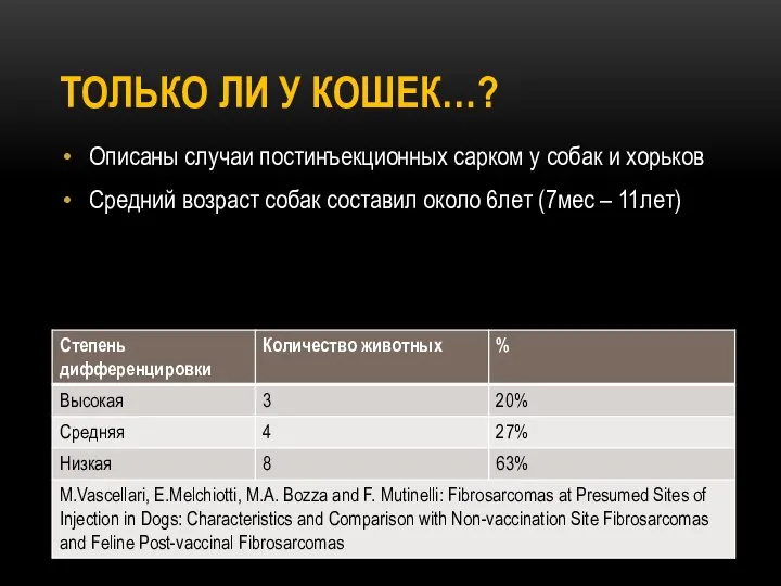 ТОЛЬКО ЛИ У КОШЕК…? Описаны случаи постинъекционных сарком у собак и