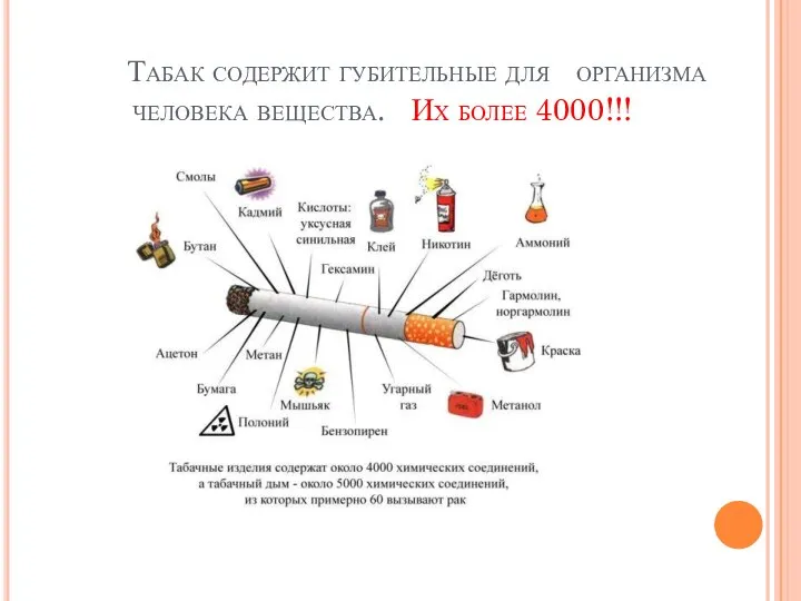 Табак содержит губительные для организма человека вещества. Их более 4000!!!