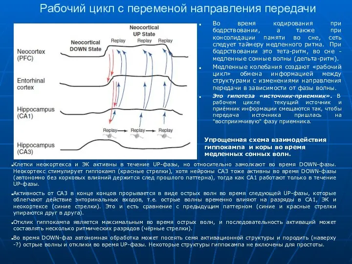 Рабочий цикл с переменой направления передачи Во время кодирования при бодрствовании,