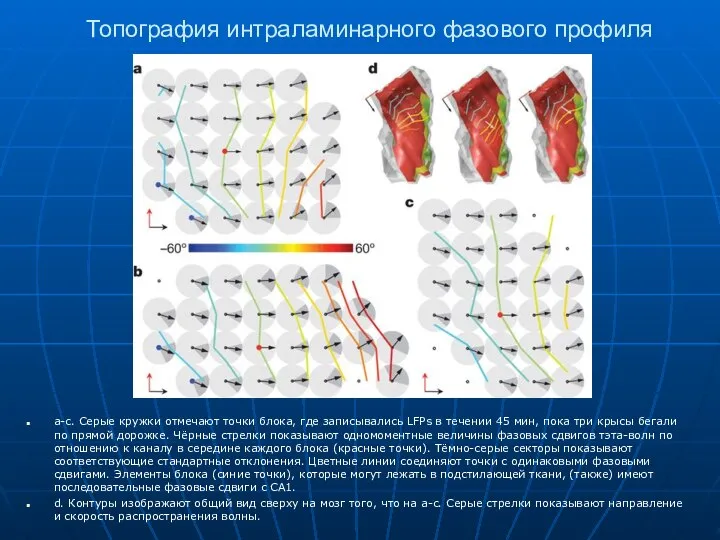 Топография интраламинарного фазового профиля a-c. Серые кружки отмечают точки блока, где