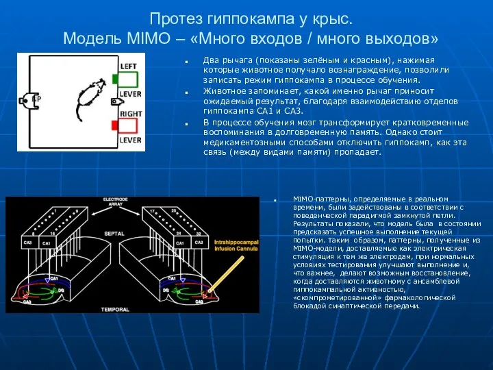 Протез гиппокампа у крыс. Модель MIMO – «Много входов / много