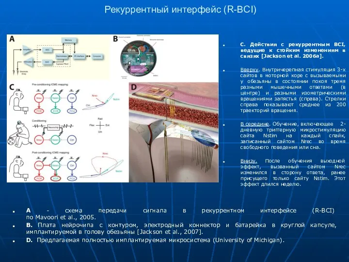 Рекуррентный интерфейс (R-BCI) A - схема передачи сигнала в рекуррентном интерфейсе