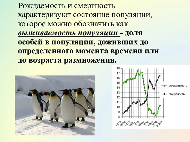 Рождаемость и смертность характеризуют состояние популяции, которое можно обозначить как выживаемость